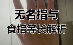 无名指长于食指命运怎样 女性食指长于无名指运势如何
