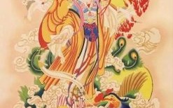 陪娥月殿是什么生肖？娥是指什么生肖