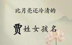 姓贾的女孩取什么名字好免费 兔年贾姓女孩名字