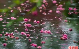 家园凋零雨落花猜一生肖