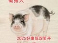 欲钱看小猪是什么生肖？猪牛养大及时卖猜生肖