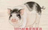欲钱看小猪是什么生肖？猪牛养大及时卖猜生肖