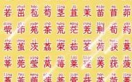 木属性字女孩起名字 楚辞 木字属性女孩名字