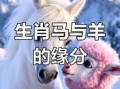 属羊和属马相合属兔与何属相最配