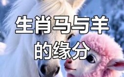 属羊和属马相合属兔与何属相最配