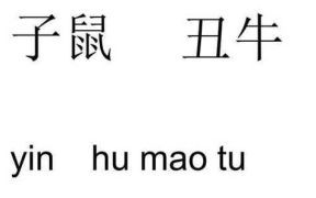 生肖的肖的读音是什么？生肖的读音的肖读几声