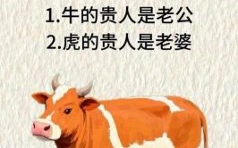 无功受禄是什么生肖？劳而无功打一生肖