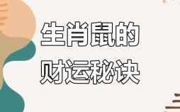属鼠的人为何谨慎，属鼠的人是否机敏