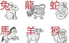 千钧一发指什么生肖 千钧一发猜一生肖答案