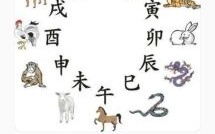 四四合五七二定是什么生肖？四四合五七二定最准生肖