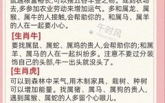 一衣带水是指什么生肖