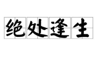 绝处逢生打一生肖