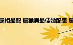 属猴男最佳婚配生肖