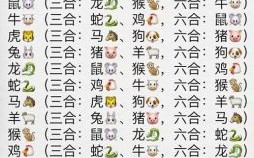 生肖猴和猪八字合吗狗和猪合不合财运