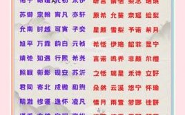 名典最新版测名，免费起名宝典