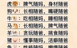七觜八舌是什么生肖？七嘴八舌打一正确动物