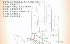 女性的面相与手相