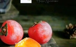 十一月一日是什么节日