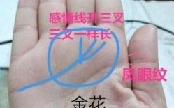 梦见看手相预言富贵，女人梦见被看手相