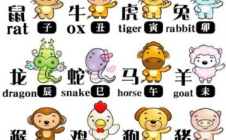 枪林弹雨指什么生肖