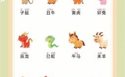 体花的动物是什么生肖？身体花是什么生肖