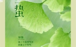 惊蛰是吉日吗 今日是惊蛰还是其他节气