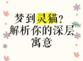 梦见猫代表什么？12种常见梦境解析与象征意义