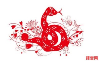 青涩相伴两不知打一生肖