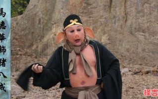 猪八戒师兄是什么生肖？西游记猪八戒是几师兄