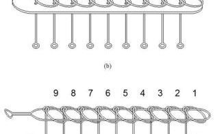 变化九连环是什么生肖？九连环是什么数字