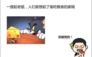 老鼠过街打是什么生肖？虽是过街齐喊打是什么生肖