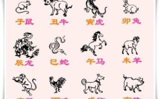 界生肖是什么？界字解一生肖