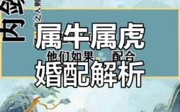 生肖属牛的是什么星座？牛虎的属相合不合