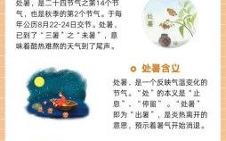 暑气至此而止说的是哪一个节气