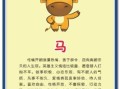 马踏飞鸡是什么生肖？马和鸡相冲吗