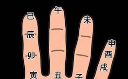 甲木生于酉月八字怎样手相最佳