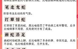 生肖属蛇2013年运势解析