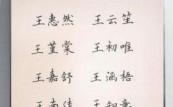 王姓一个字名字大全 王姓一个字女孩名字