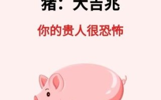 属猪男生动心信号 属猪男对你有好感的表现