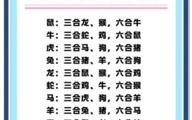 两面三刀搞手法是什么生肖？表里不一指什么生肖