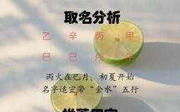 姓余的女孩名字优雅时尚 属兔余姓女孩取什么名字好
