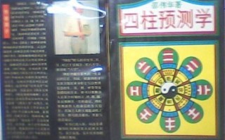 邵伟华命运预测网