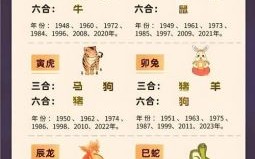 三元七运任君选打一生肖谜底揭晓，生肖运势解析