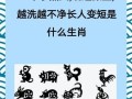 六根未净对应什么生肖