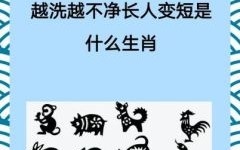 六根未净对应什么生肖