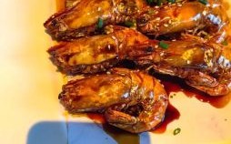 白招财鱼能喂虾吗招财鱼为何不吃干虾