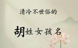 女孩姓胡的名字优雅的 女孩子姓胡取什么名字