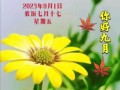 九月十七日是什么日子