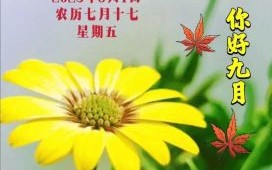 九月十七日是什么日子