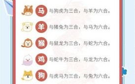 四九合单数福四五最佳属相